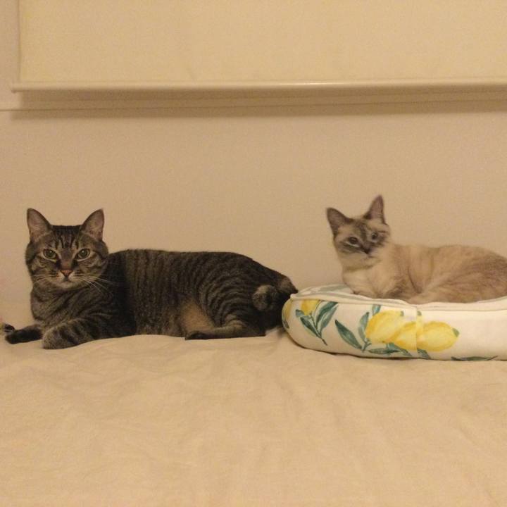 9d75504c ae0e 4b19 99b3 92cba77dec45 1691933977710