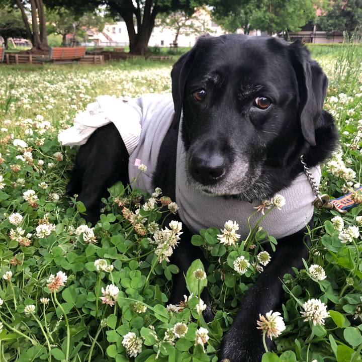 9d75c6d2 ab26 48cb 8116 a9cbdd660c04 1557479454730