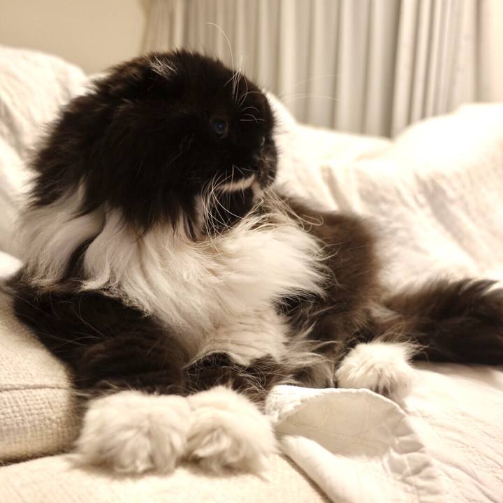 9d75dac9 5136 4a87 9e21 76193c85f6db 1540863897470