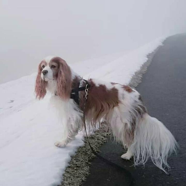 9d75dc09 f58f 46d1 ba57 09f2398bf797 1554414444107