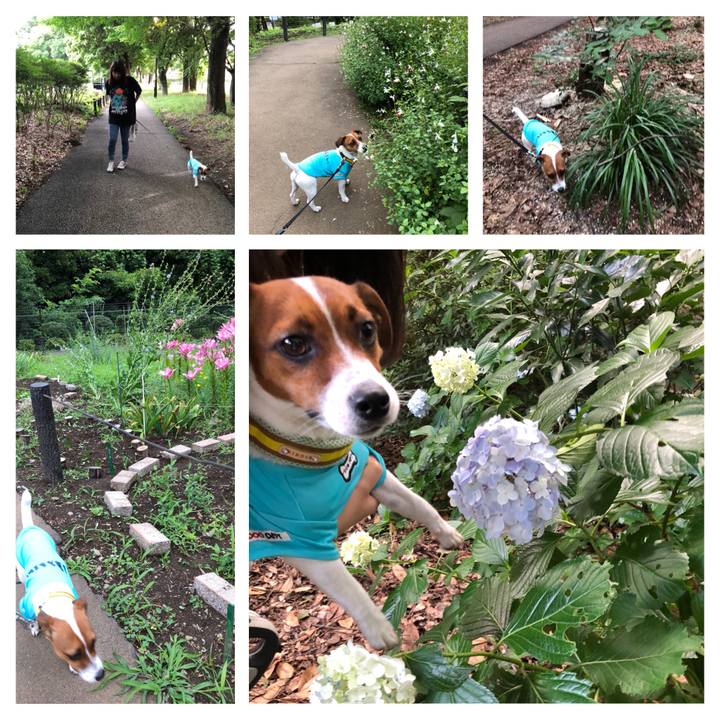 9d75ee87 45ea 4fa5 8924 673e93b164cf 1529225416817