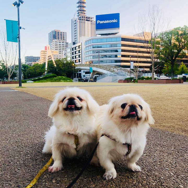 9d76449a a95d 45c8 831c 70035378979e 1601244068236