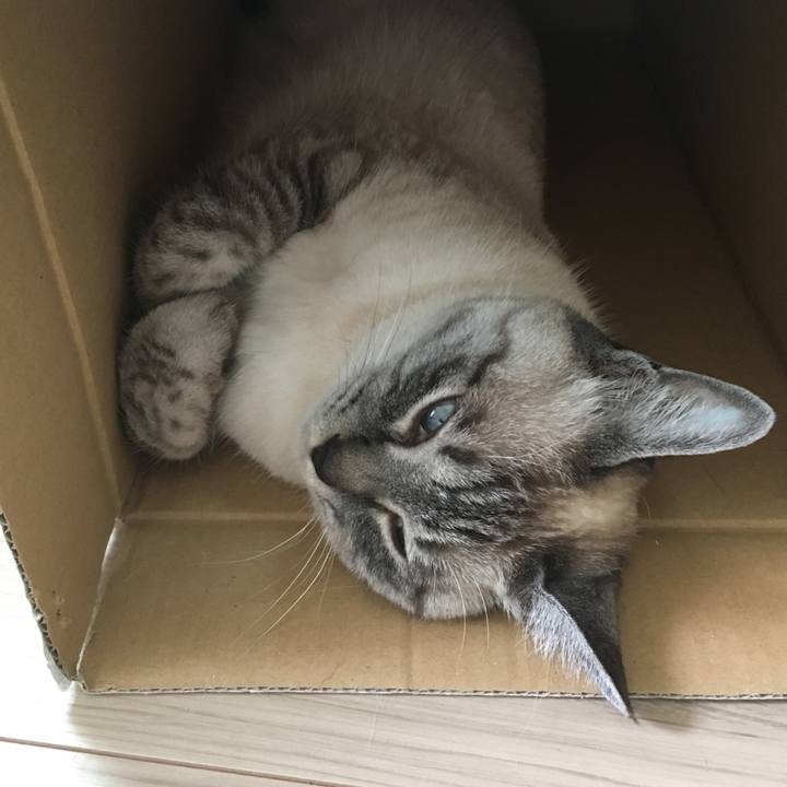 9d764b80 90f5 4c08 b826 cc12dd52cb22 1590374986867