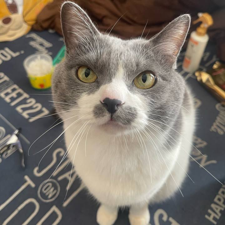 9d765962 5aac 4498 a03f 1af0a62e9ea9 1735433045825