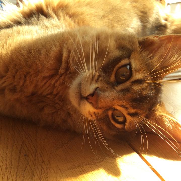 9d767185 f022 44d7 ab63 6461c4776c22 1582079222906