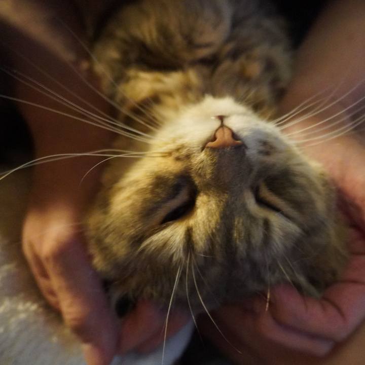 9d76b0da d237 48b3 9d6c d88318c36adc 1769857893831