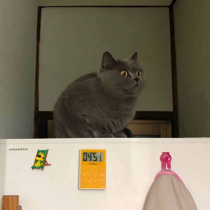 9d76ba6b a3a8 4f41 af0f 2610955756ff 1577100377860