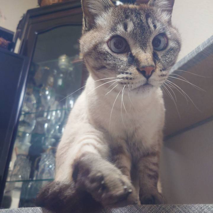 9d76e902 8ad9 45c3 af20 30f4dcce57c8 1709640290820