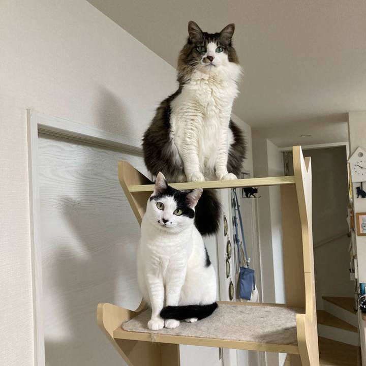 9d770cd0 d26a 4d63 b1fb fa8de02bd18d 1773148870139