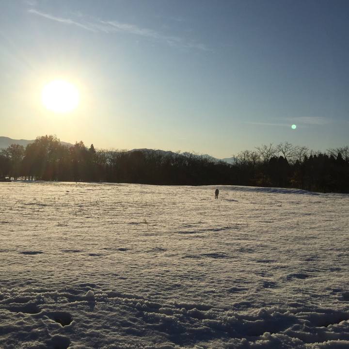 9d772205 02b4 4bcf 96af fd19de6229c3 1547870352856