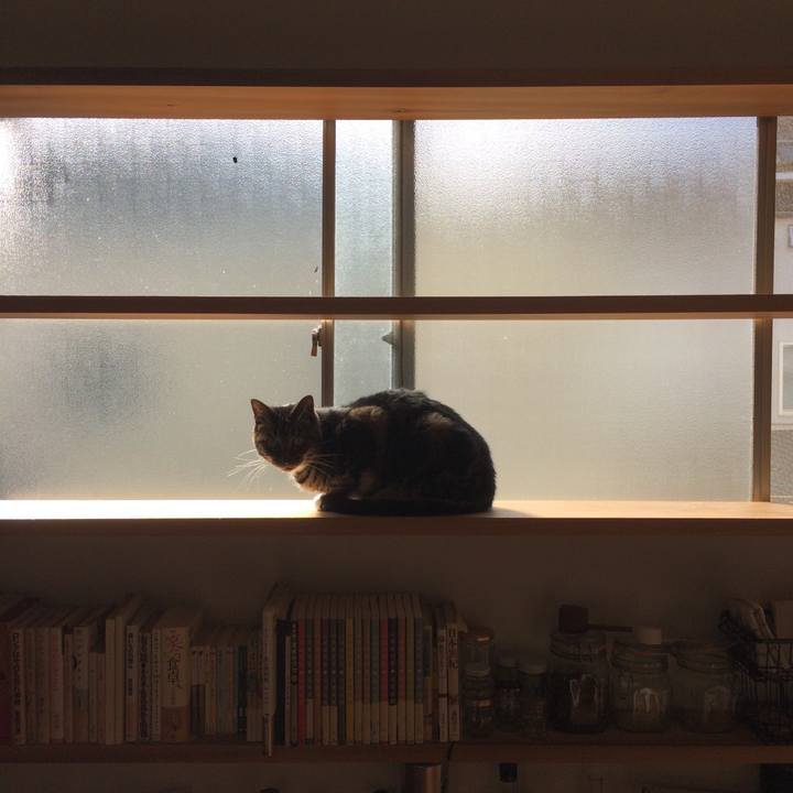 9d772268 614e 478b bd5b 6144543305c1 1510362414716