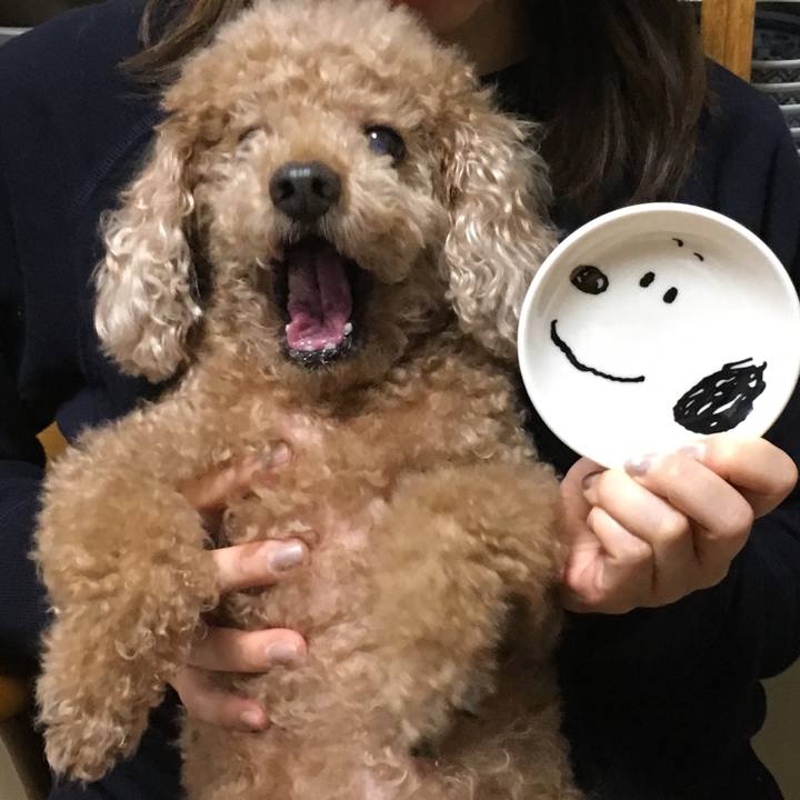 9d7738e1 18b4 466d 8451 d6ede69fecac 1523803928262