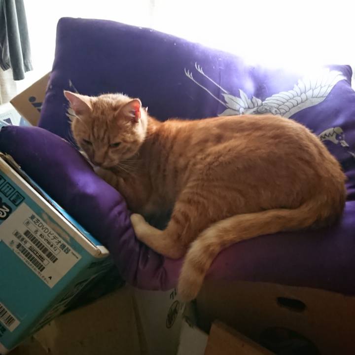 9d7746df b68a 47f9 8708 c61424f508dc 1597614683527