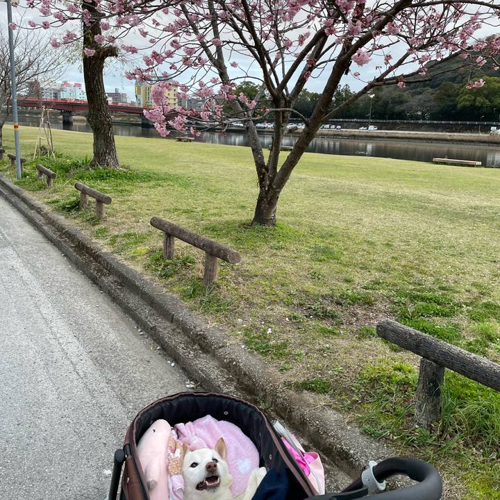 9d775c3a 01bb 4ad0 b59e 4644b32a7665 1678967932891