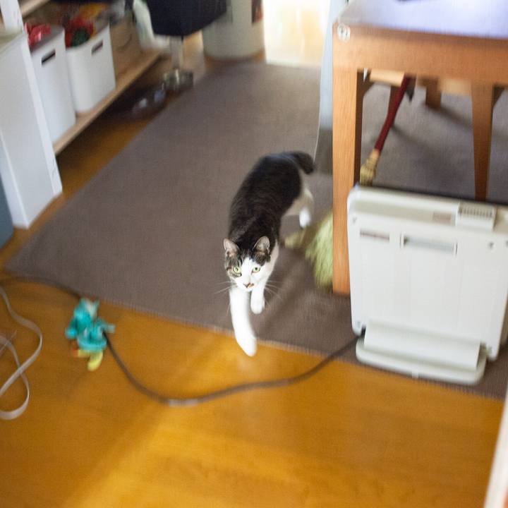 9d7761aa 7f6d 40fb b4bb 24b0aebb162d 1574911845368