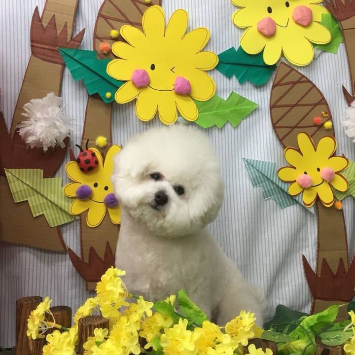 9d777657 24e1 449a 9ee4 82f96a36a1bc 1519814880136