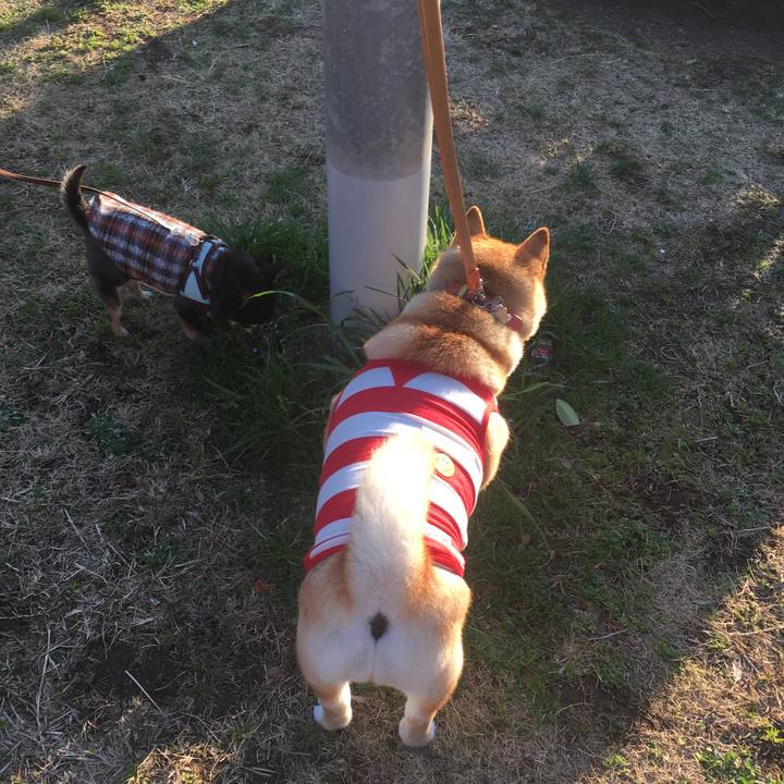 9d77b3bc db97 457c 8fbc 6e9cb64198d2 1552037067615