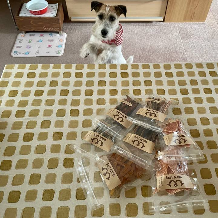 9d77bd12 d70d 426a 8409 f34482cef8e1 1675837989157