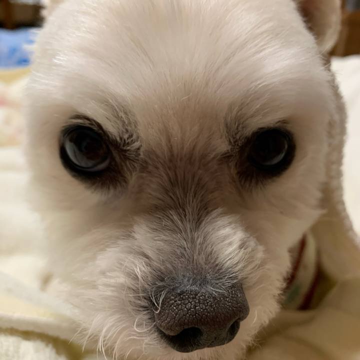 9d77e037 1f5c 4419 92f9 0a34faec7a73 1621163356808