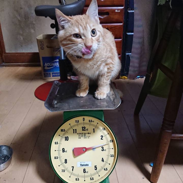 9d77f3d3 0339 41d7 849f d1dc358b8338 1635246264567