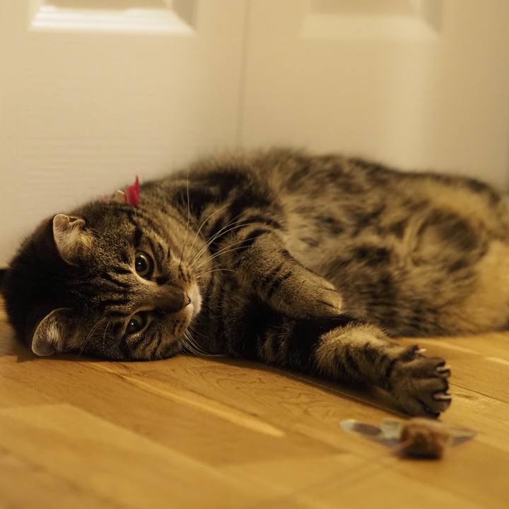 9d780bb1 99e4 497f 9132 4446e391c352 1613687624108