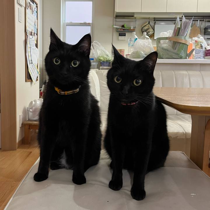 9d7817da 9c13 4dbb b023 bf2e106b54dc 1669684601521