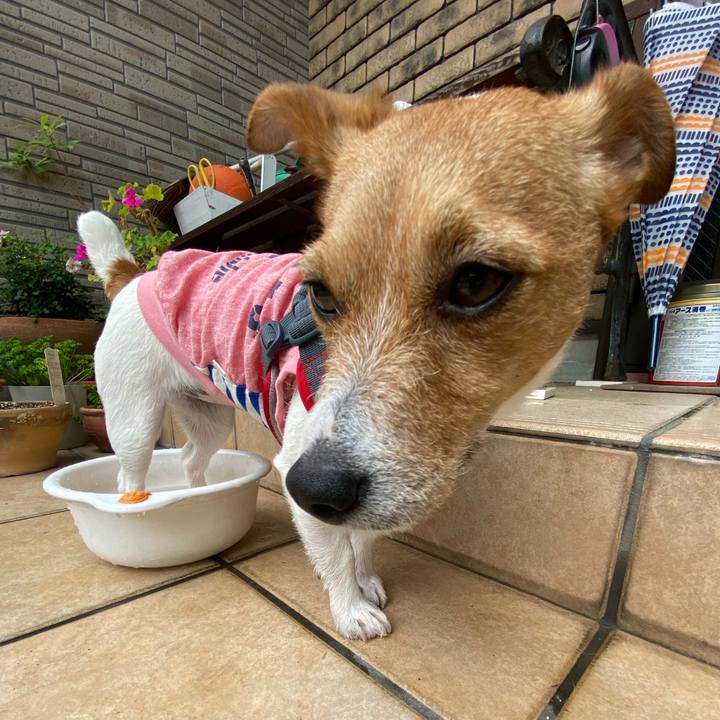 9d784806 75cf 4ee6 a2ef 484bb101ed41 1589681484517