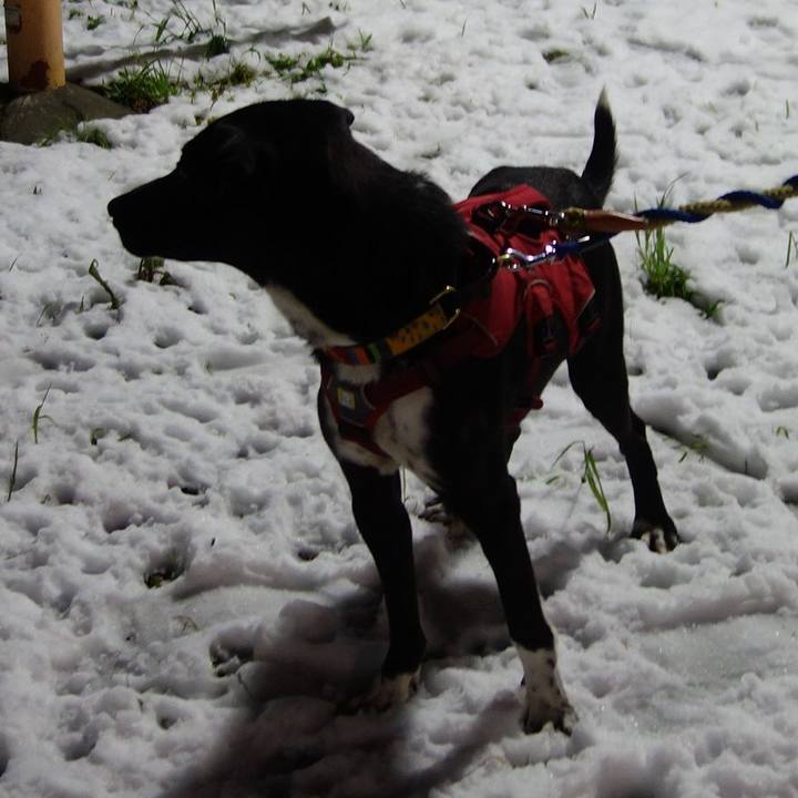 9d785a62 6755 4006 8874 36f0674a3457 1585478609806