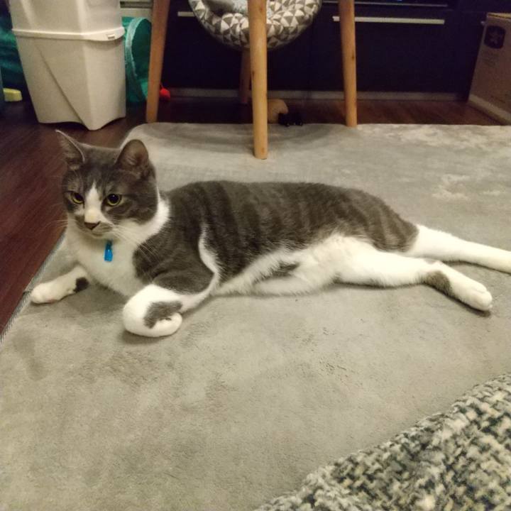 9d785ce2 acb5 4a07 8ebd e761057e9de7 1608289138743