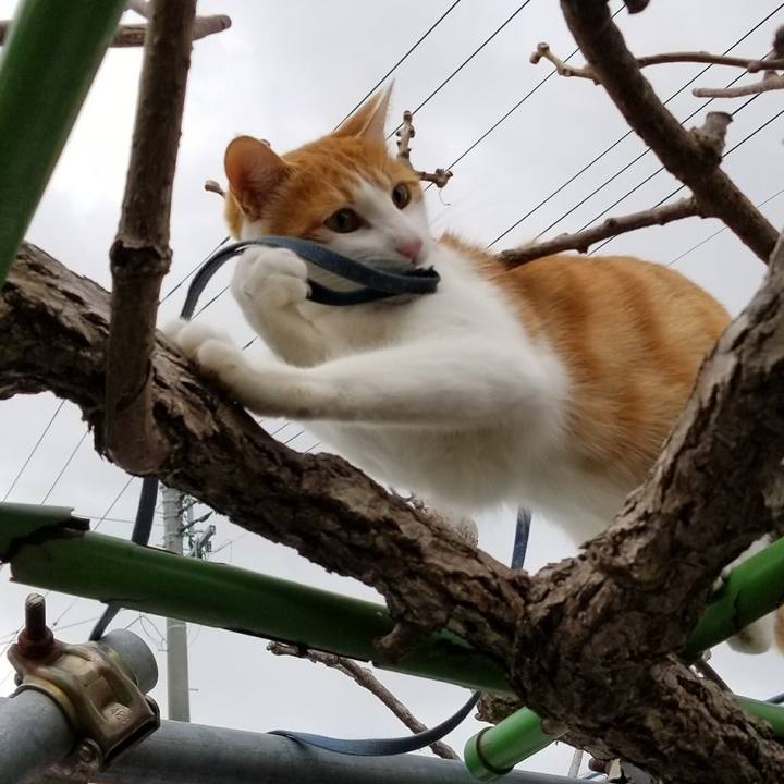 9d788f95 3de2 4aad 99ea 3525ce0a8471 1518319463813