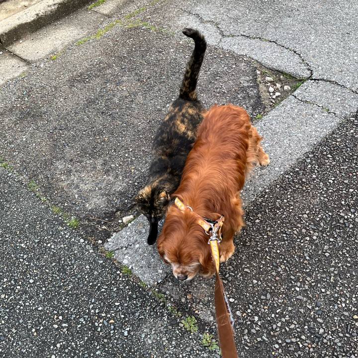 9d789dc5 15c9 4a86 b90e ecf8922381dc 1773893566540