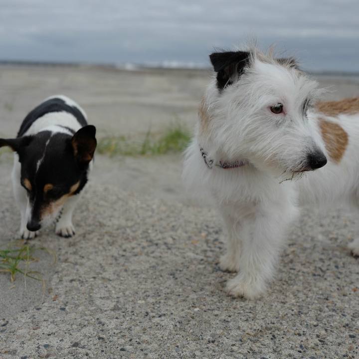 9d78aaf0 c5fa 45a4 9cd2 cfec3d0367ae 1528954752589