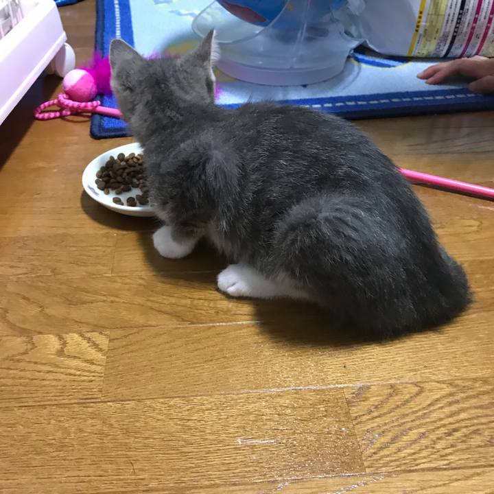 9d793f44 f85a 403d a5c4 280af7de629d 1530510198197