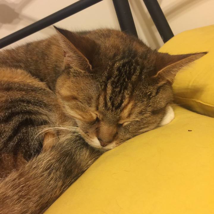 9d79655b ee5c 4b4f 9916 b49e2e4dfd77 1556119836341