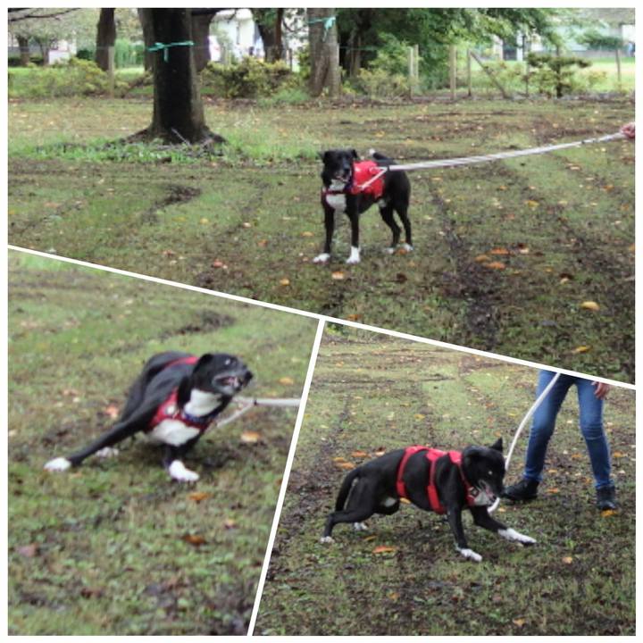 9d79c682 18c0 4178 bf5c 3ac051e6218e 1666140917451