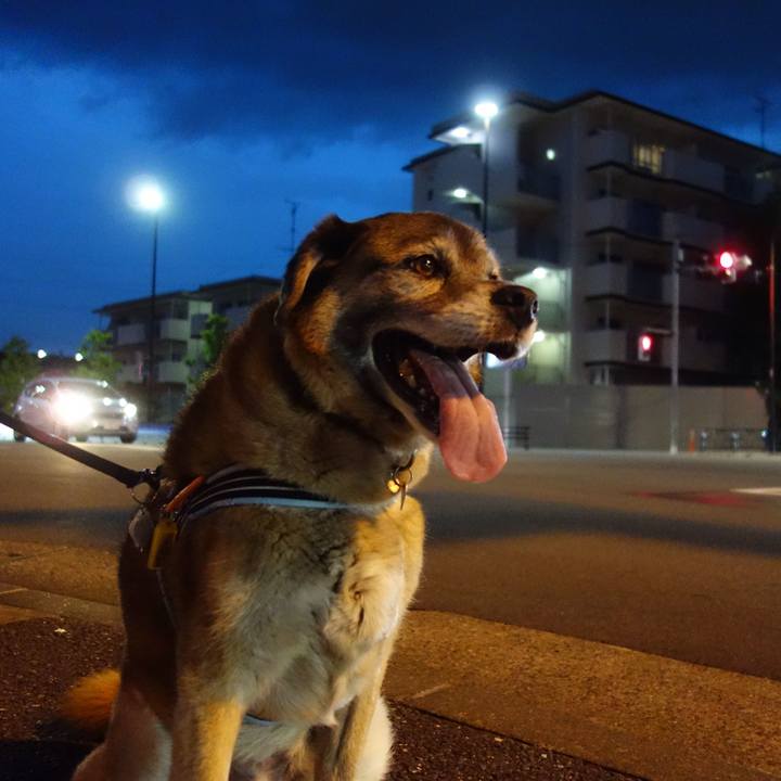 9d79d053 262f 49a9 86e1 85df9cb2f021 1561767401593