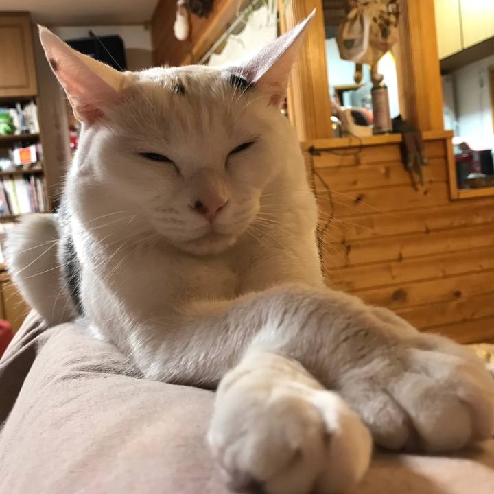 9d7a0aa7 0908 48ca b897 56af512bb445 1561031078512