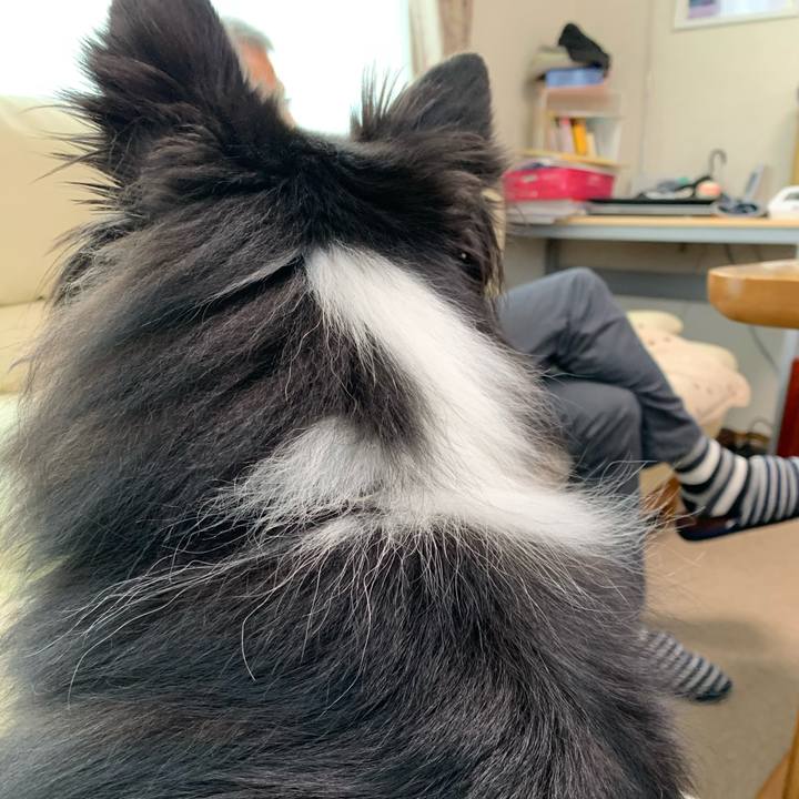 9d7a3e61 1982 44fe b89f 105f6a5b2245 1601072864640