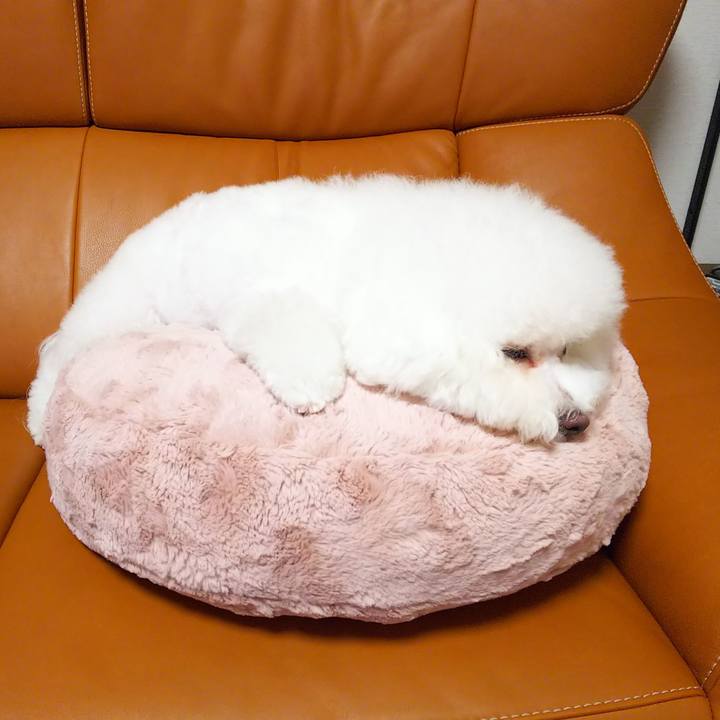 9d7a632e 1e29 47f5 8cb5 a12d1d7d972d 1535540149095