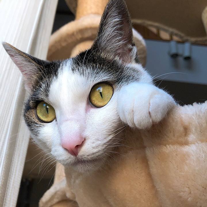 9d7aae67 9c69 402b aa62 35db03d96b02 1654507372874