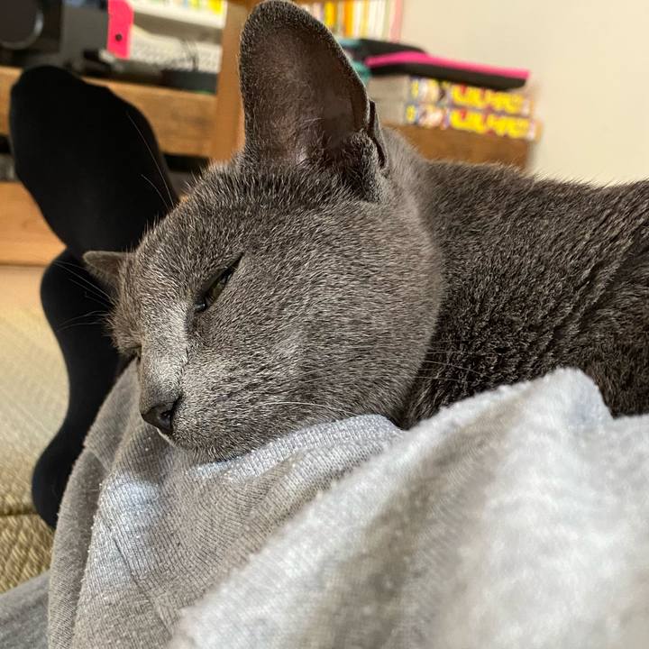 9d7ac547 9321 4b6e 89c1 dba160fc275e 1590280600948