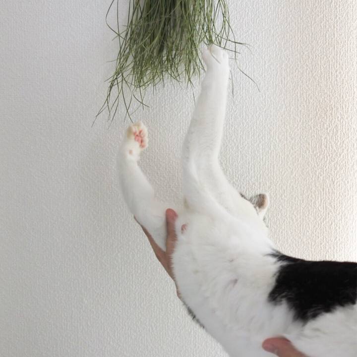 9d7ac6c4 87b6 41df b2fe f157d80dee6e 1515421115133