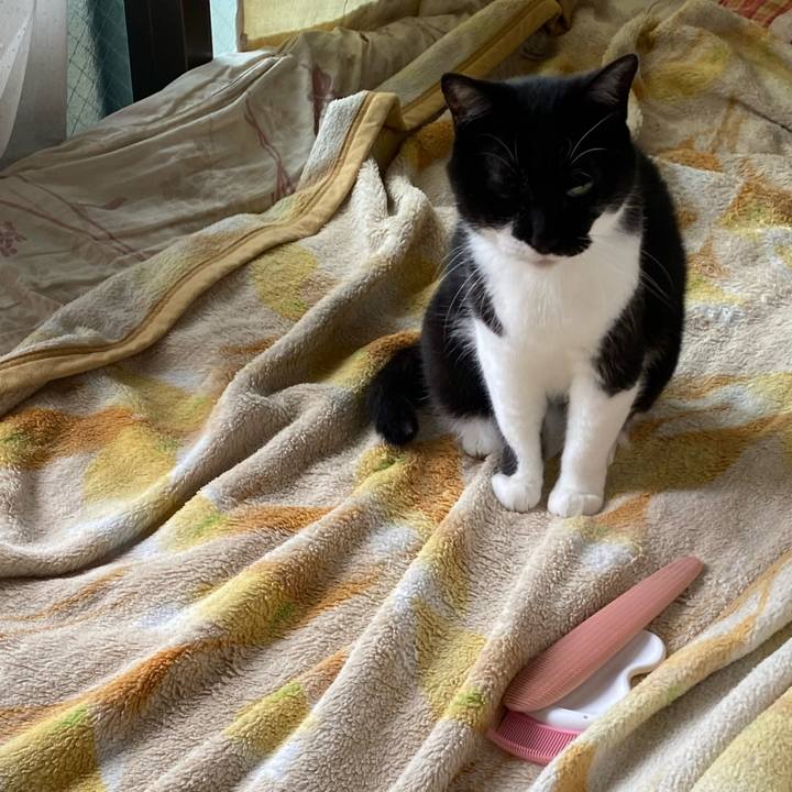 9d7afd2d 8c4b 405b b8dd 26414a71fe55 1719549241286