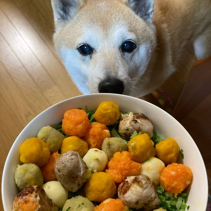 9d7b33ba de76 4590 9e3c 8b38e8519f47 1620731681554