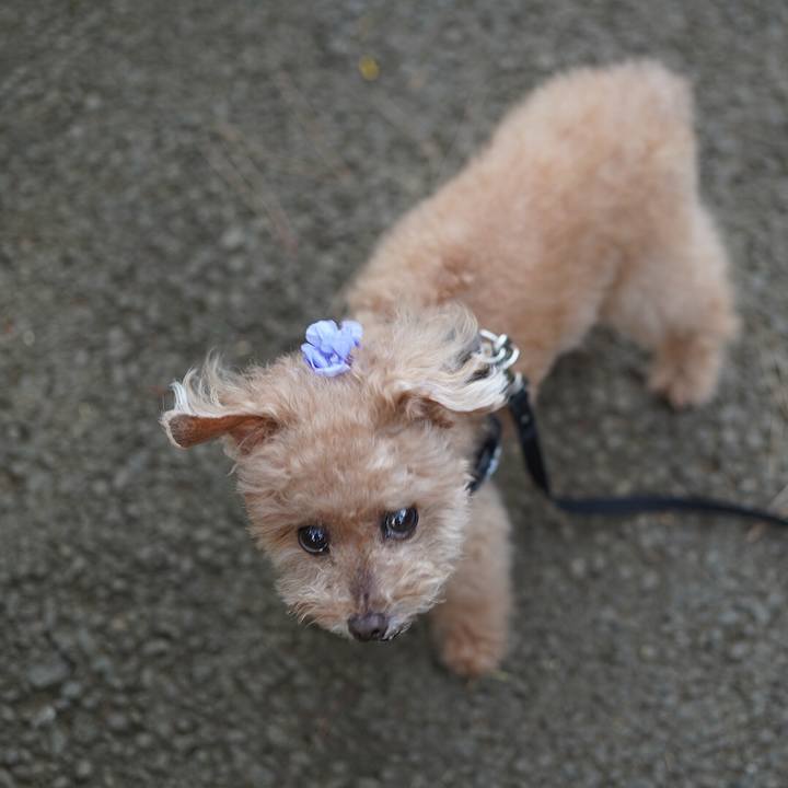 9d7b38c9 f73b 4b5c a8b9 3bcf92ab33f0 1693568313206