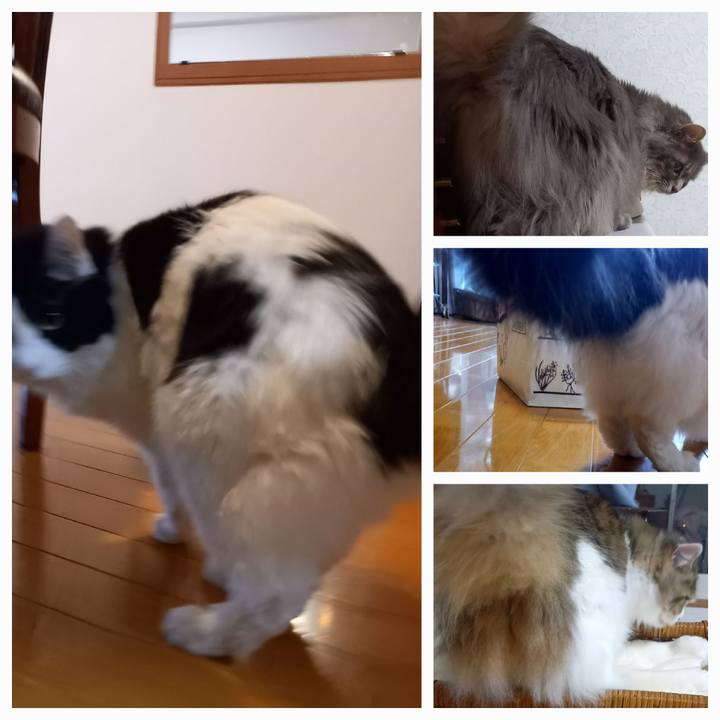 9d7b4918 0c34 450b 95d0 5f9c7ba46495 1676260139538