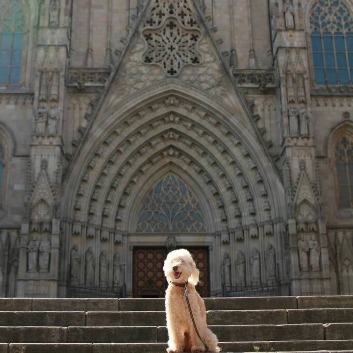 9d7b7a82 150e 4c0d bf7f eea4280e843f 1594295509766