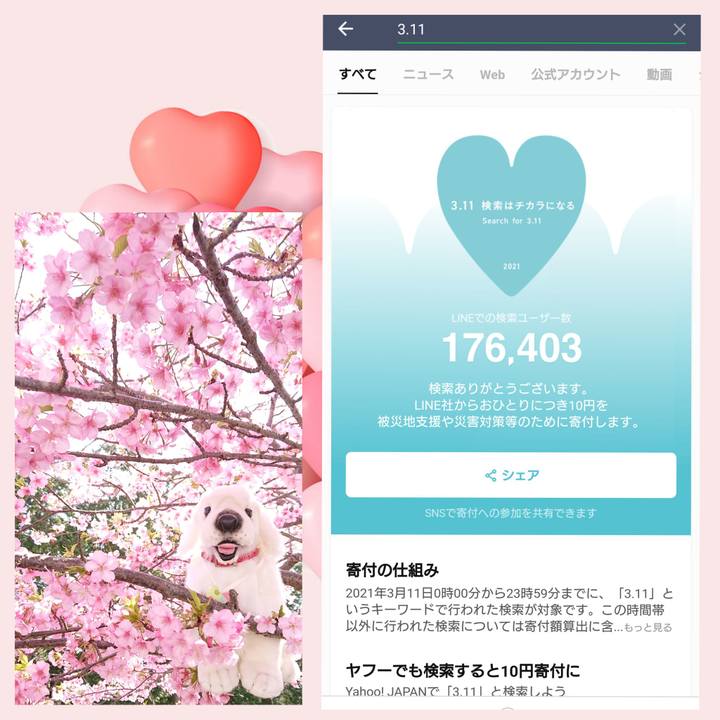 9d7bae43 1aaa 4289 89c1 9dcd43aca6c0 1615398143264