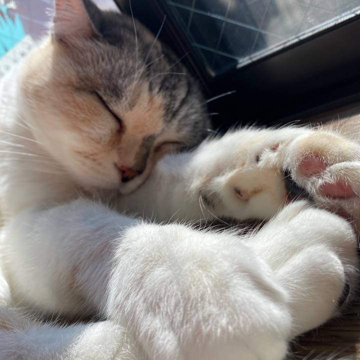 9d7bb3c4 8fb1 4c0e ab29 5b458d250937 1644375189352