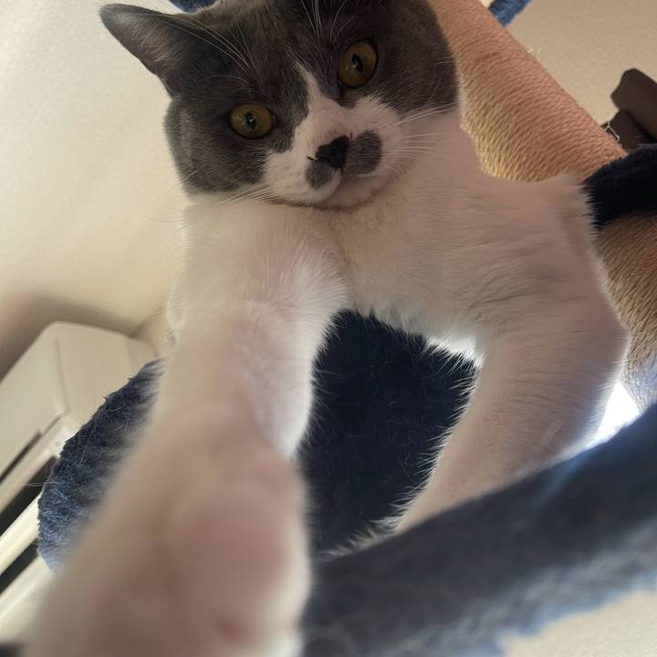 9d7bdd87 45ba 46d8 8110 76eb3c28414a 1632018742627